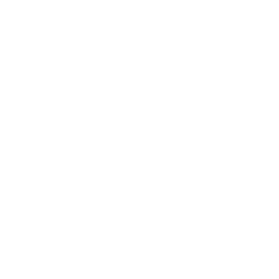Leader Icon